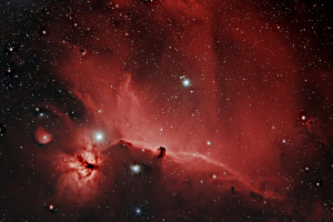 Horsehead and Flame